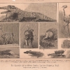 012. Kongo 1885